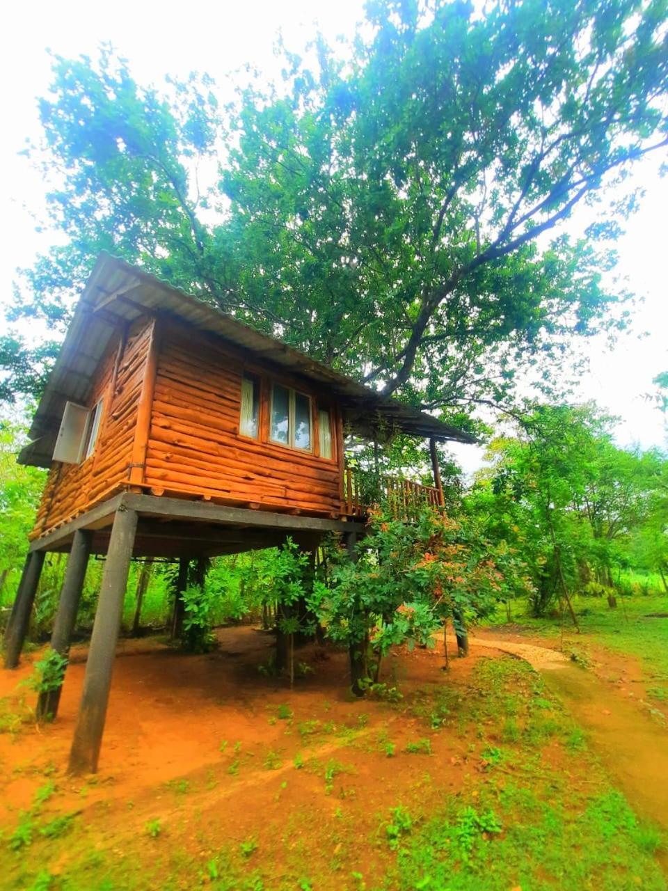 Tree House 4 Nature Lovers Udawalawe Exterior photo