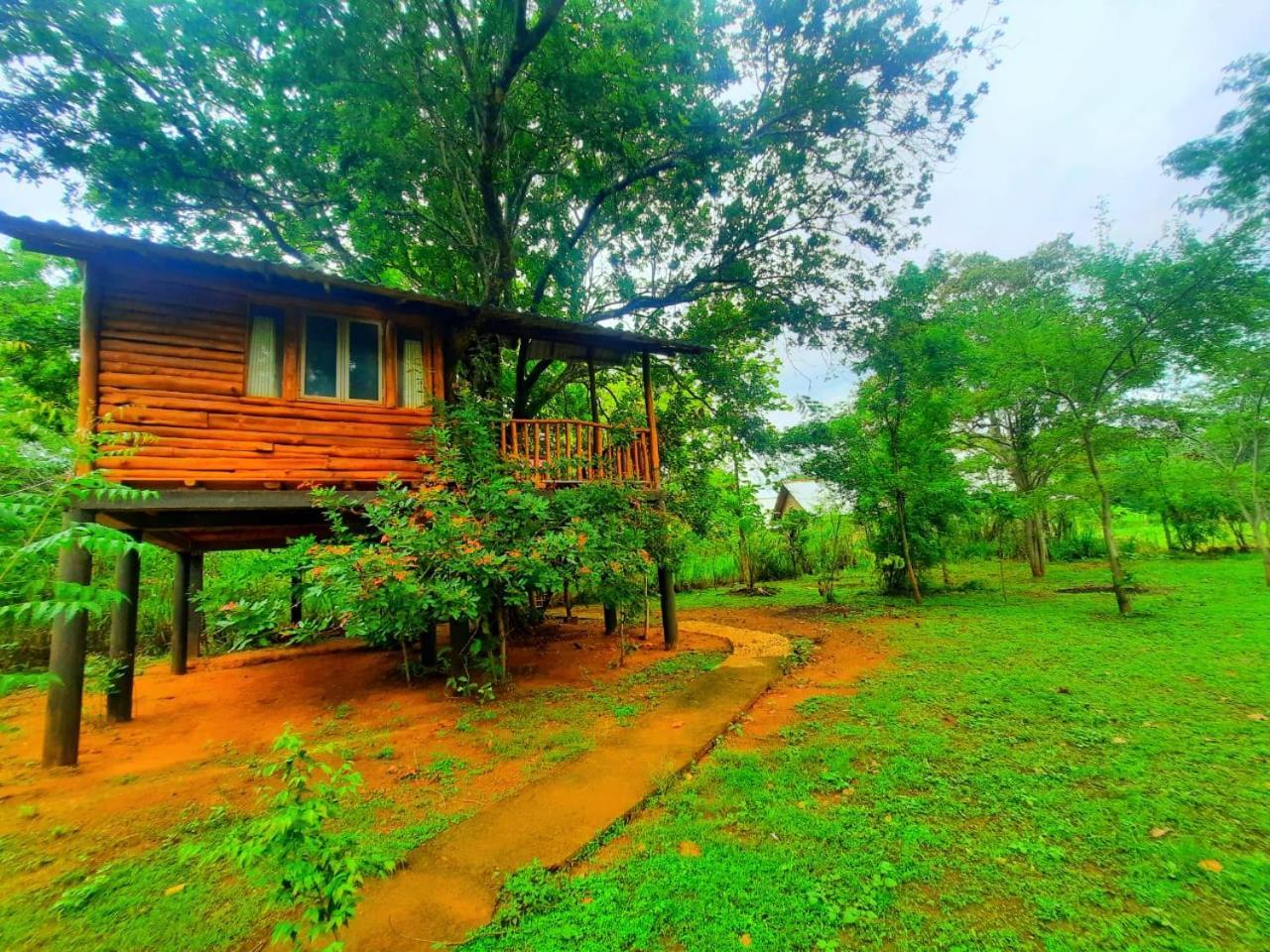 Tree House 4 Nature Lovers Udawalawe Exterior photo